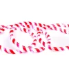 18' Candy Cane LED Rope Light