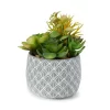 Artificial Succulent Medley In Leaf Carved Cement Pot