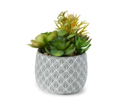 Artificial Succulent Medley In Leaf Carved Cement Pot