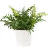 Artificial Fern In White Ceramic Pot