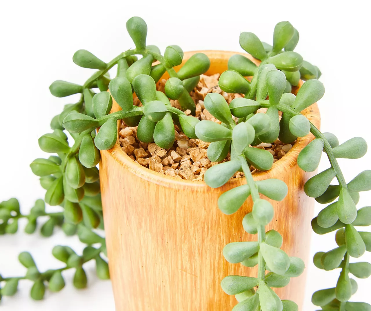 Artificial String Of Pearls Plant In Wood Look Cement Pot - Image 2
