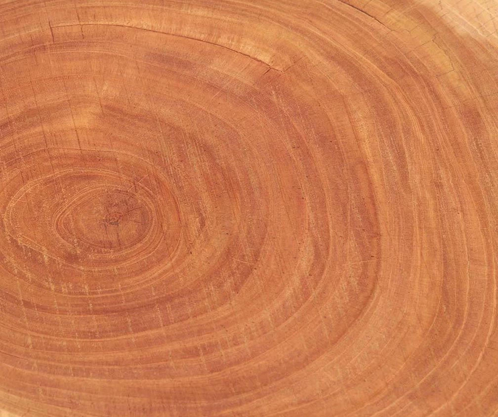 Live Edge Acacia Side Table - Image 2